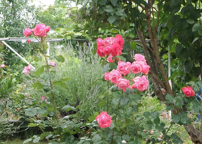 Appartement Pasman 14788b