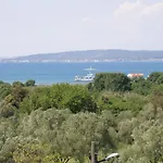 Pasman 14788b
