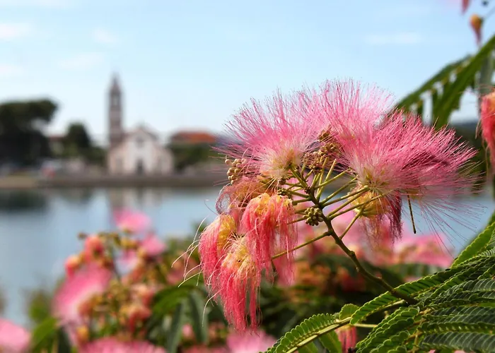 아파트 Pasman 14788b