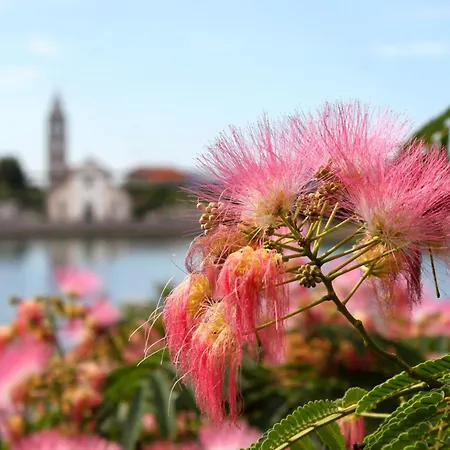 شقة Pasman 14788b