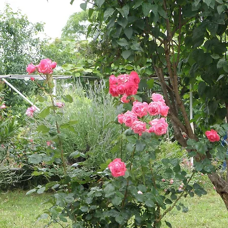 Appartement Pasman 14788b